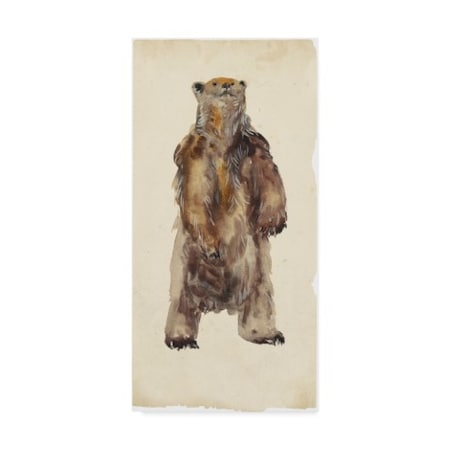 Melissa Wang 'Brown Bear Stare I' Canvas Art,24x47